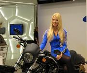 IFA-2008 033